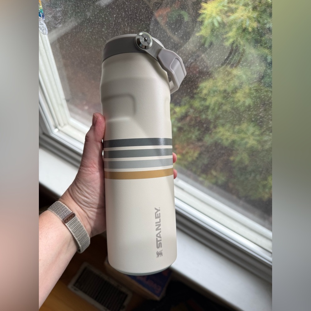 Stanley IceFlow Flip Straw 2.0